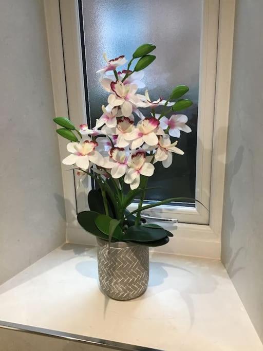 Spacious 2 Bedroom Flat In Heart Of 巴拉特 外观 照片