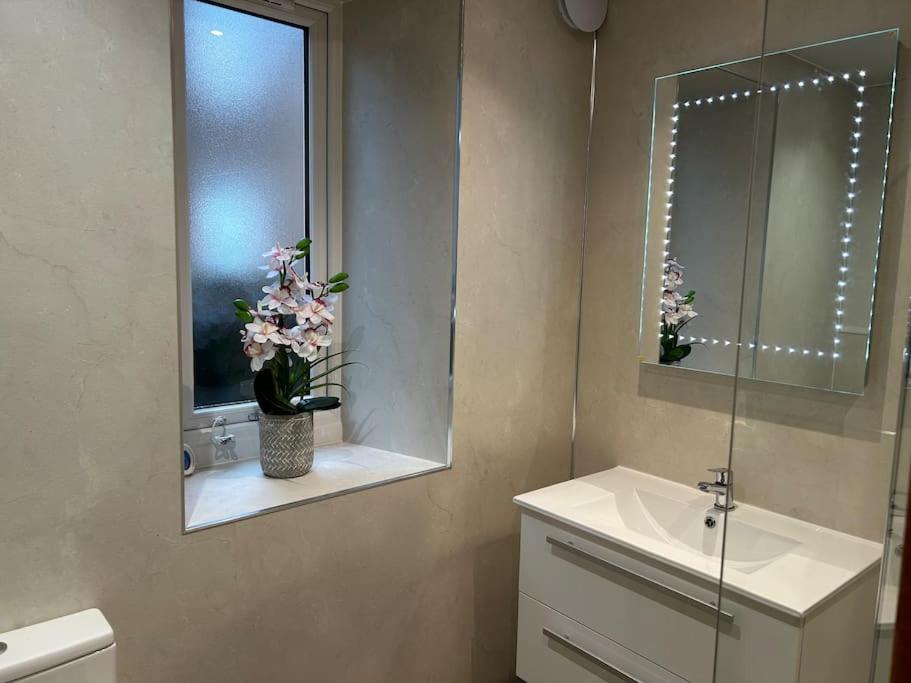 Spacious 2 Bedroom Flat In Heart Of 巴拉特 外观 照片